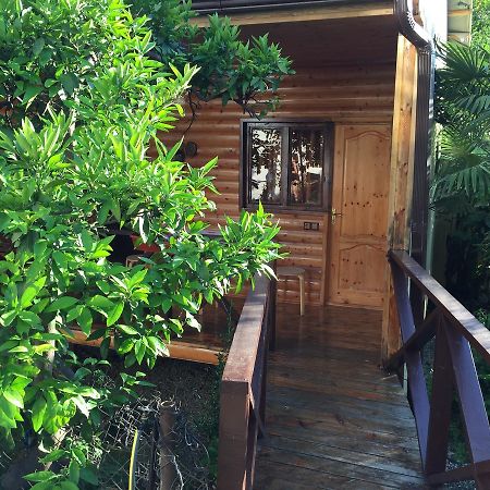 גגרה Guest House Nana מראה חיצוני תמונה