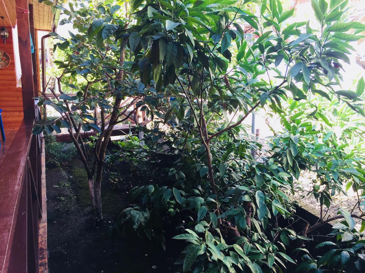 גגרה Guest House Nana מראה חיצוני תמונה