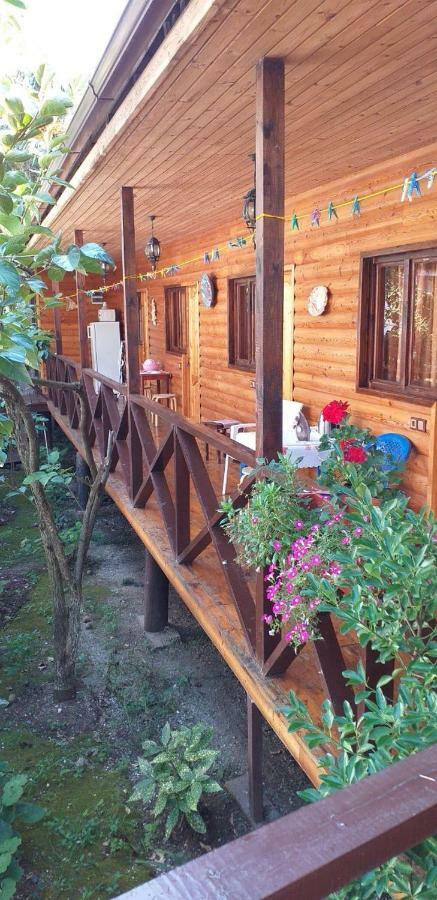 גגרה Guest House Nana מראה חיצוני תמונה